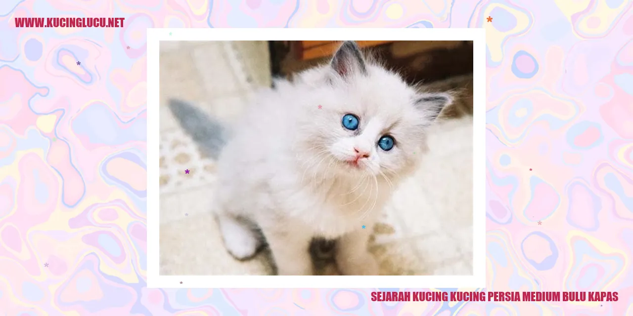 Sejarah Kucing Persia Medium Bulu Kapas