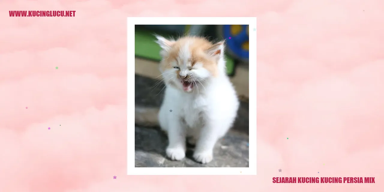 Kucing Persia Mix