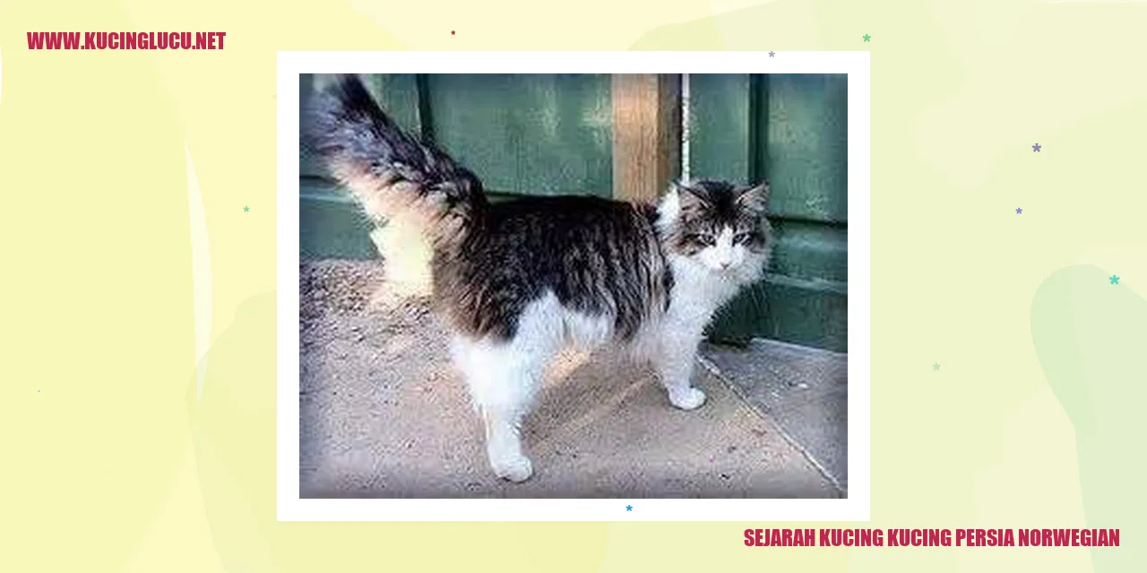 Gambar Kucing Persia dan Norwegian