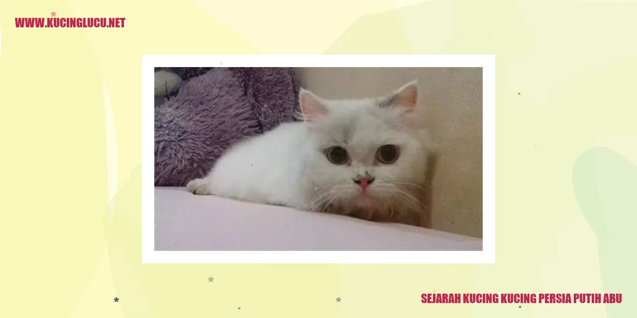 Kucing Persia Putih Abu