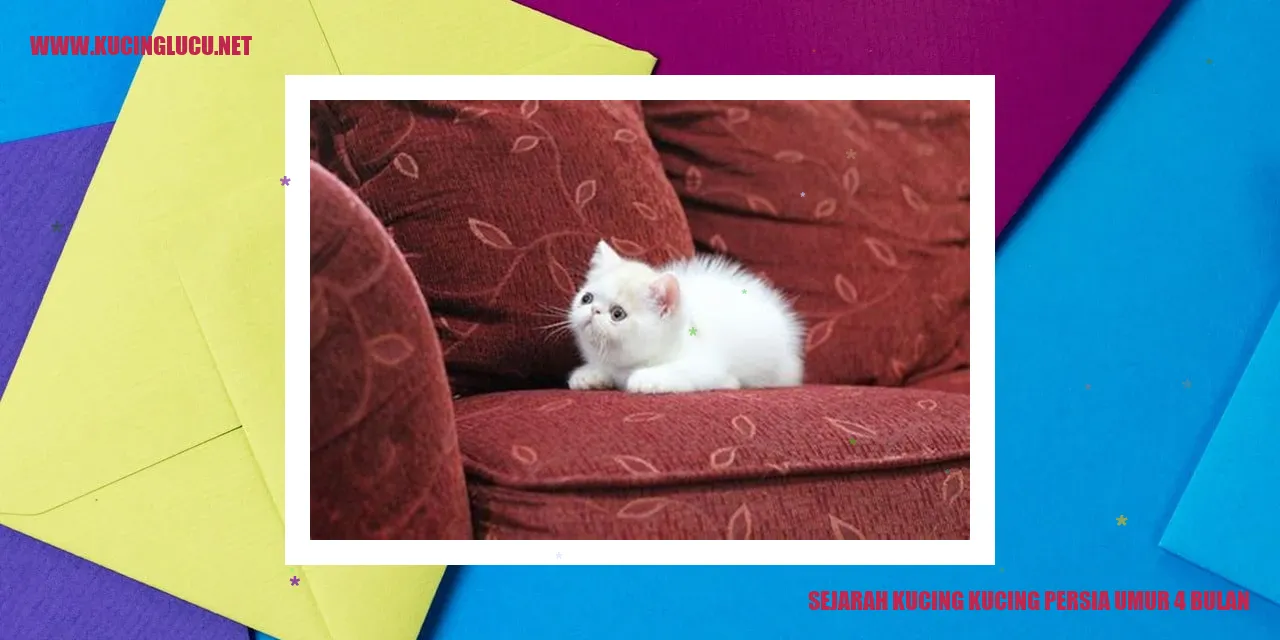 Kucing Persia Umur 4 Bulan