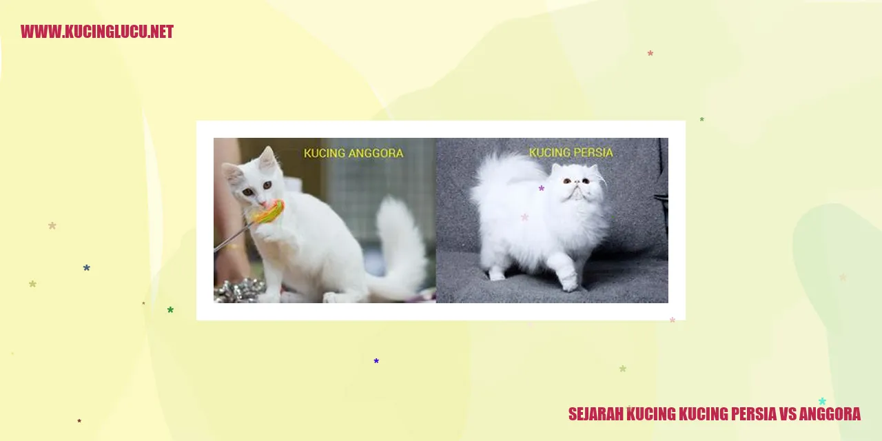 Sejarah Kucing Persia vs Anggora