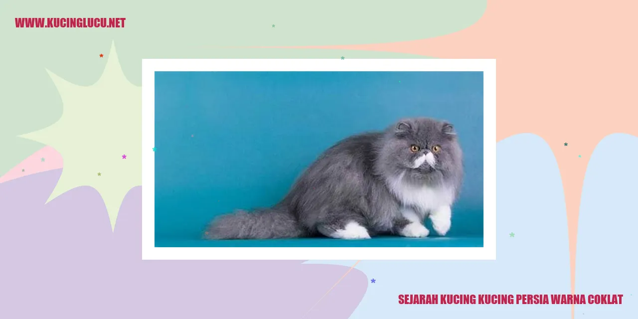 Kucing Persia Berwarna Coklat