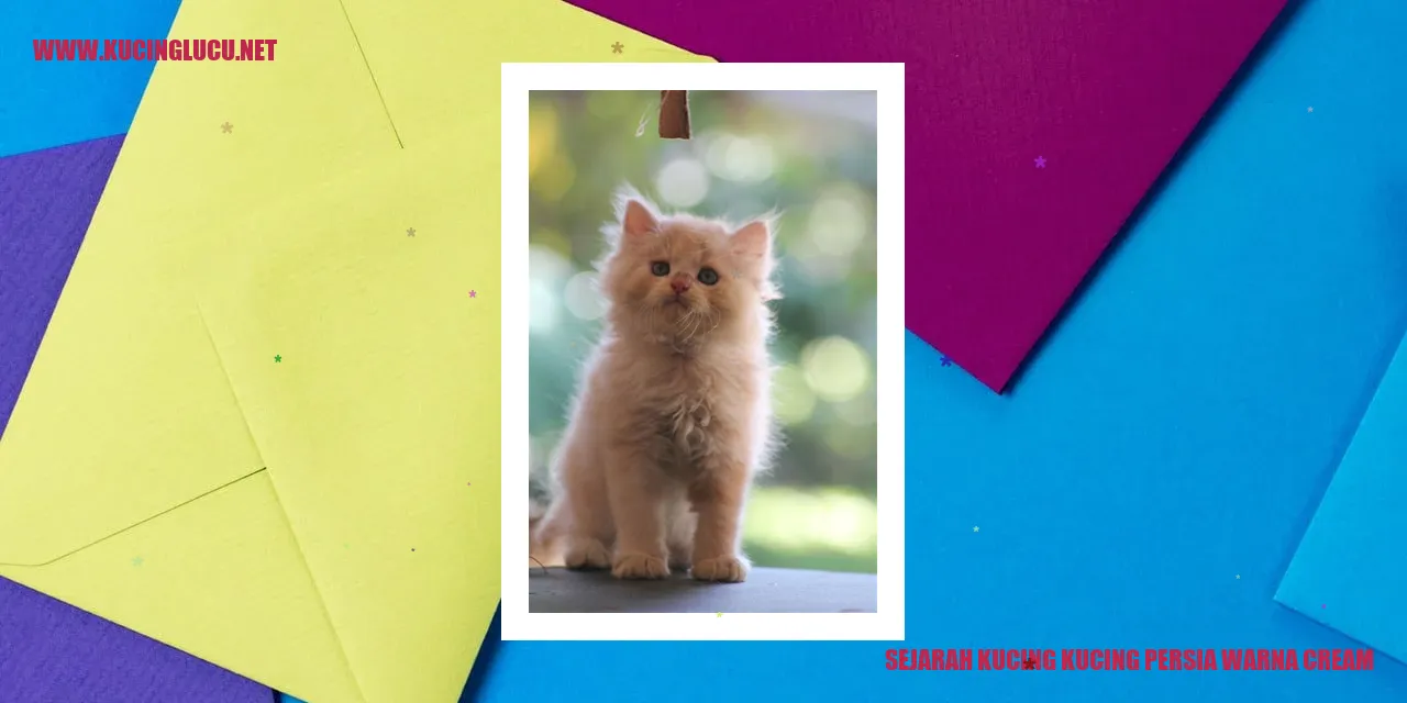 Kucing Persia Warna Cream