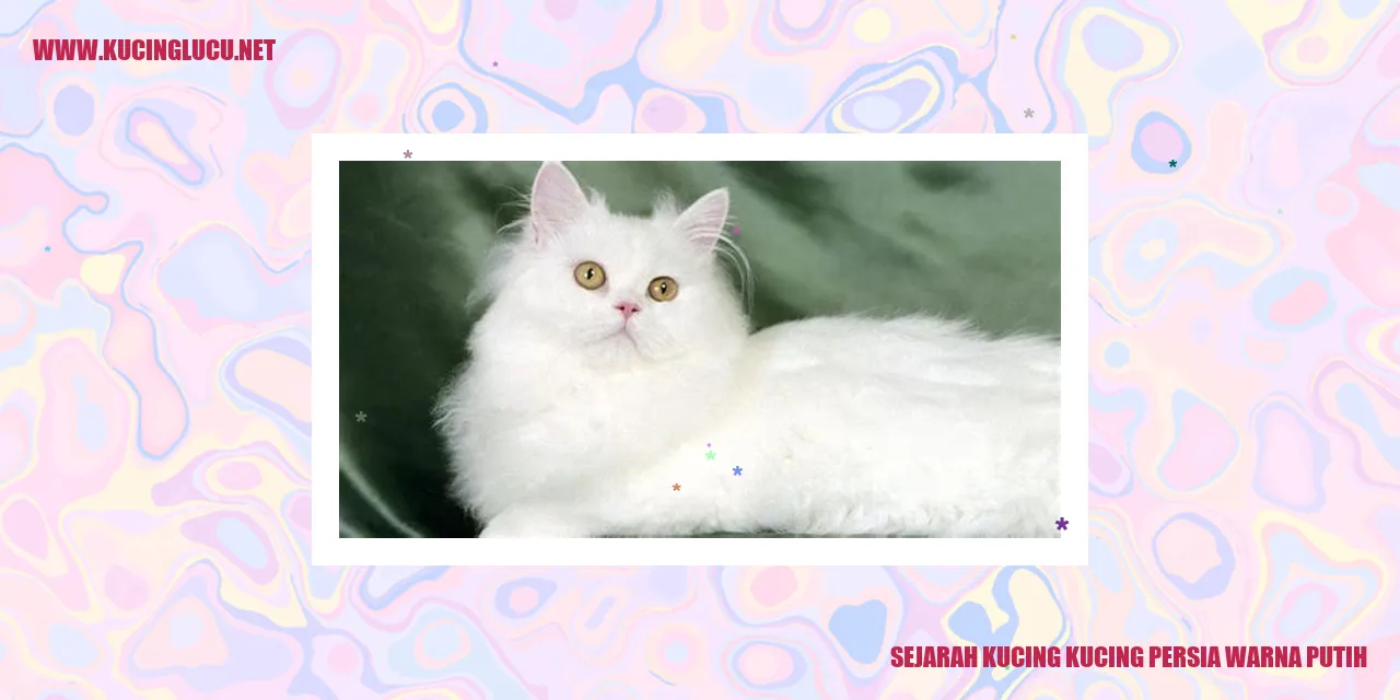 Kucing Persia Berwarna Putih