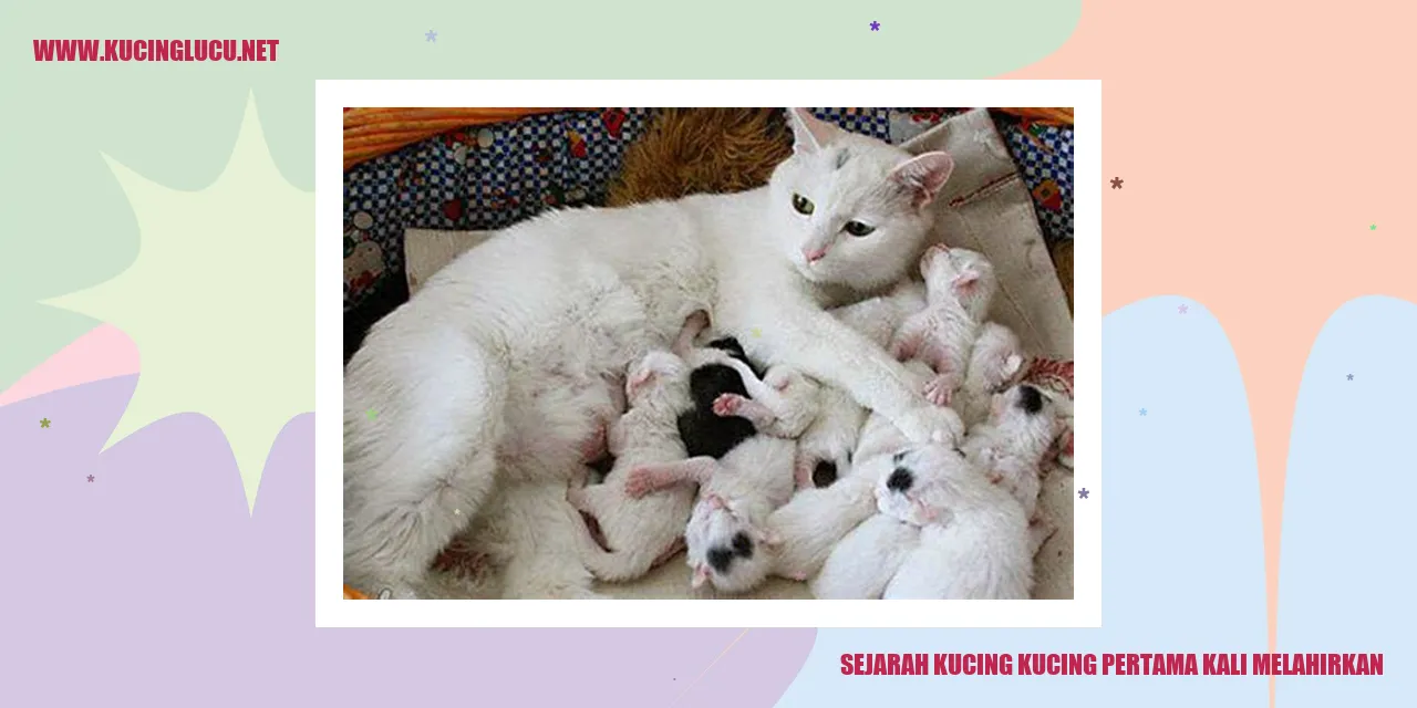 Sejarah Kucing Kucing Pertama Kali Melahirkan