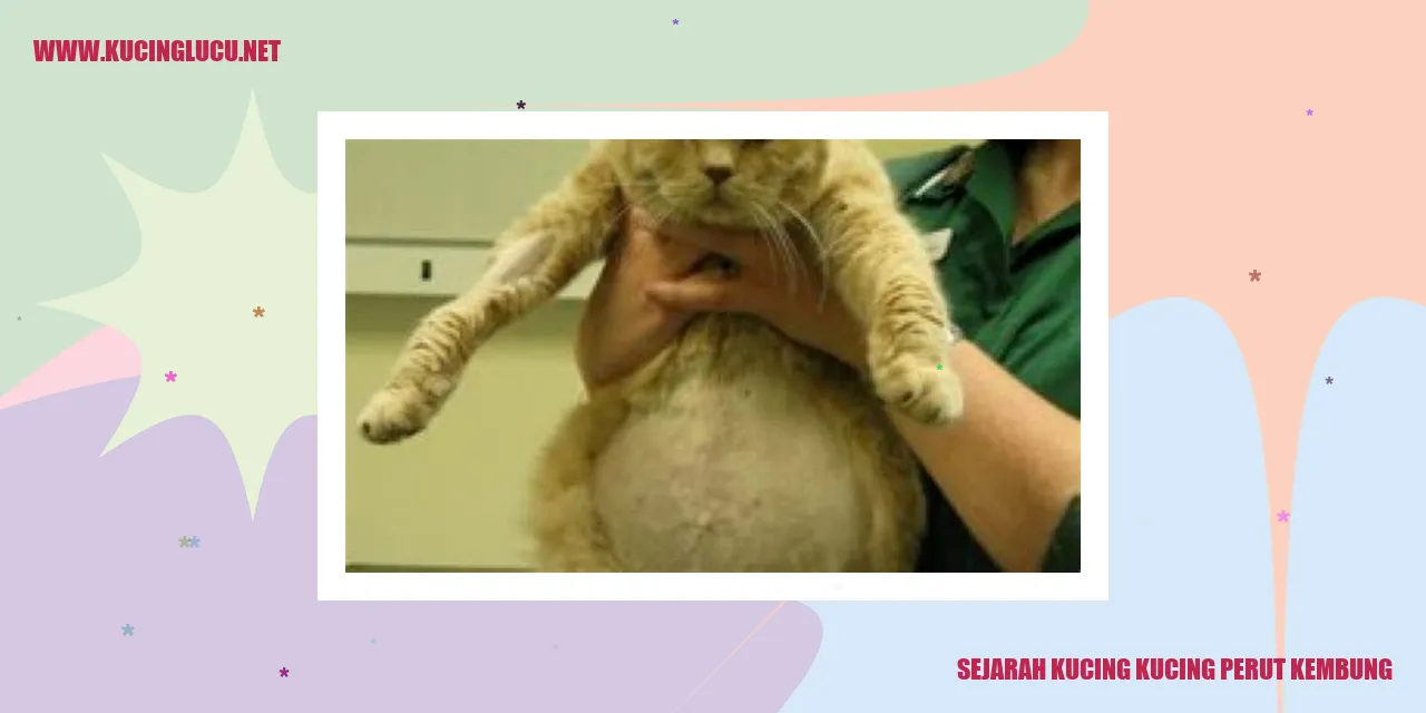 Gambar kucing perut kembung