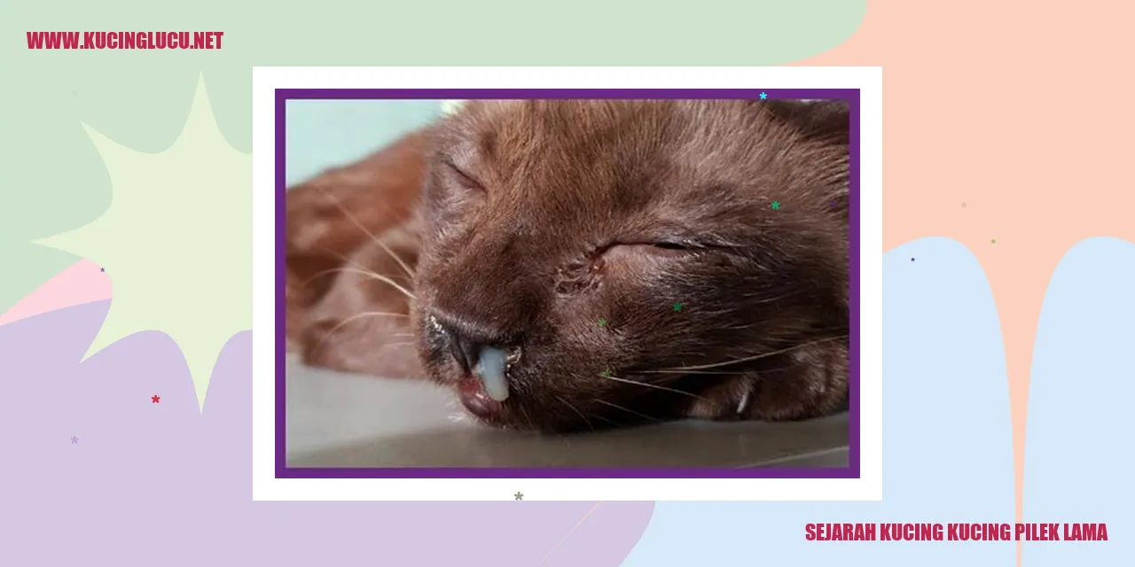Gambar Kucing dengan Pilek Kronis