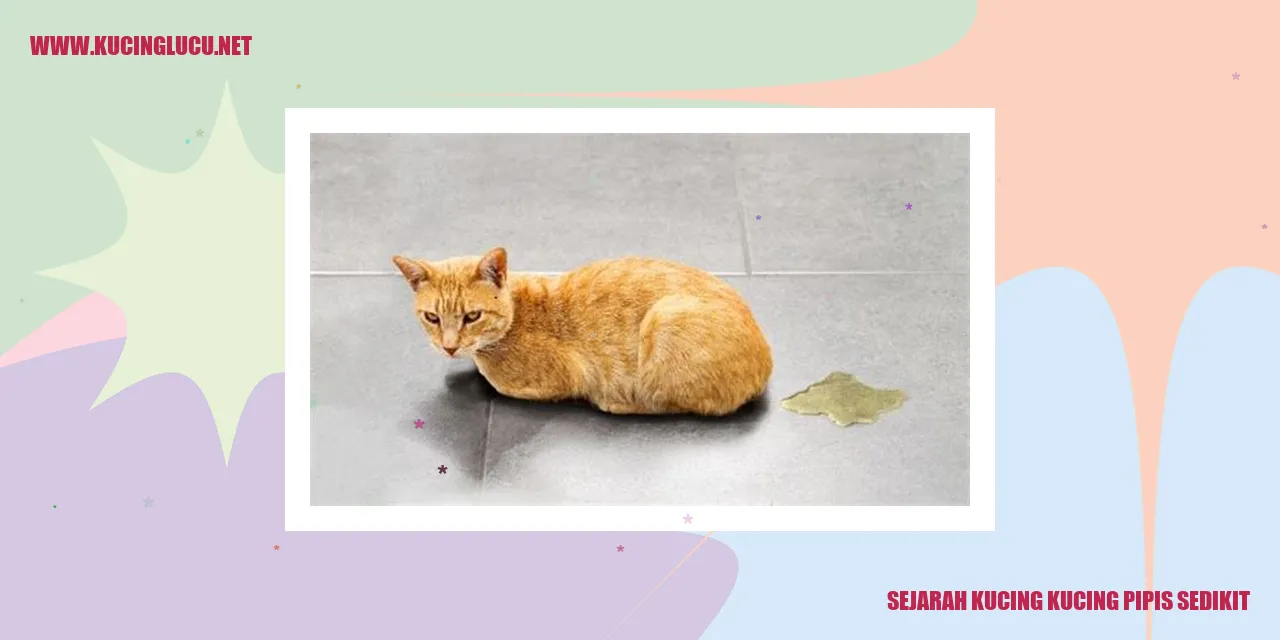 Gambar Kucing Pipis Sedikit