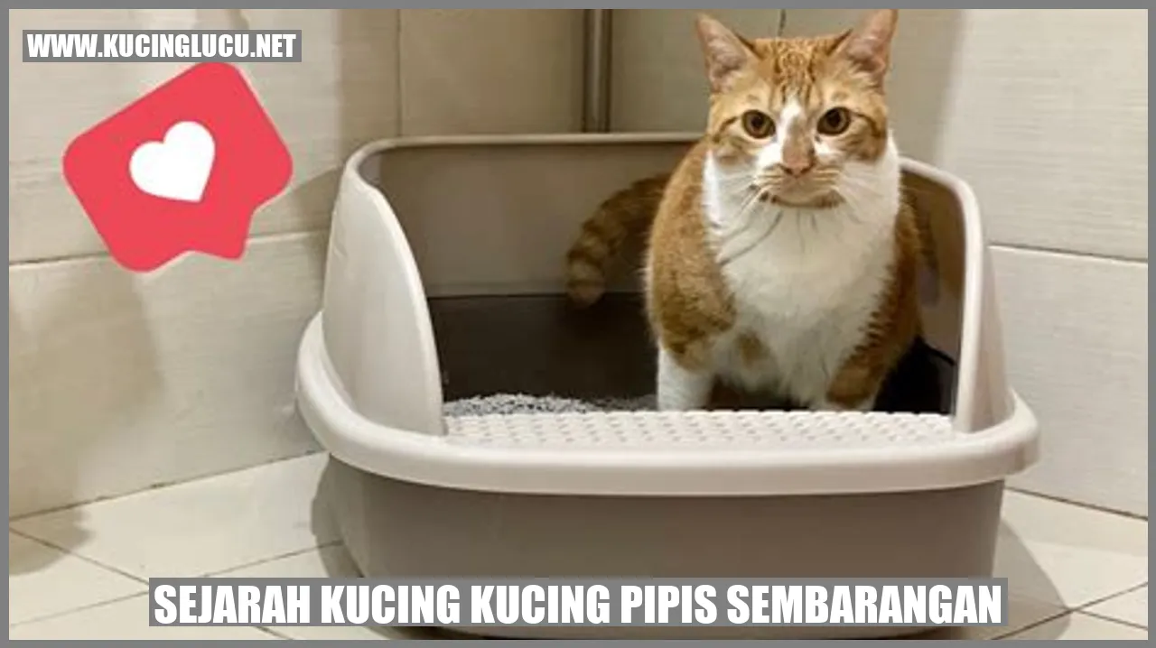 Sejarah Kucing Mengompol Sembarangan