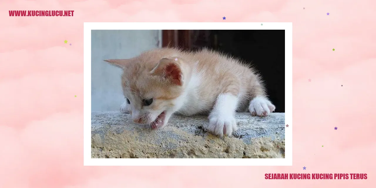 Kucing Mengompol