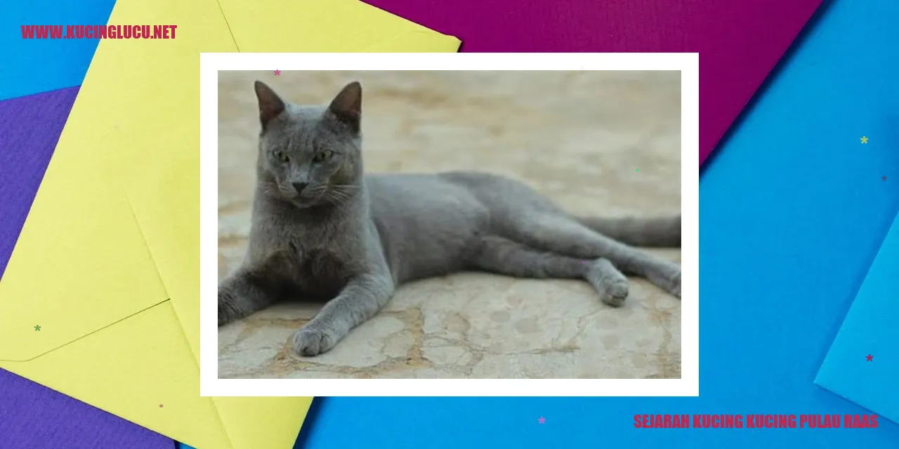 Kucing Pulau Raas