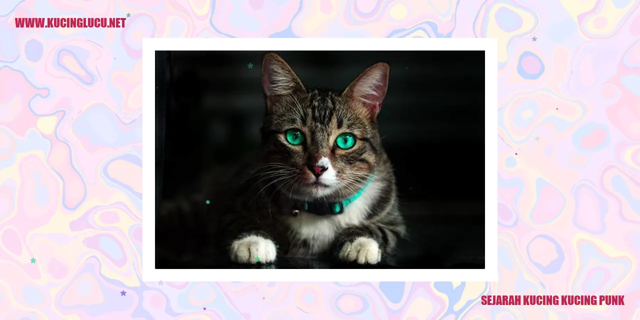 Gambar Kucing-kucing Punk