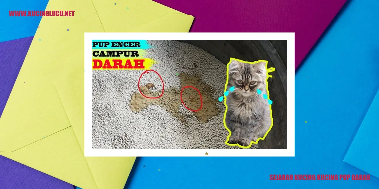 gambar kucing