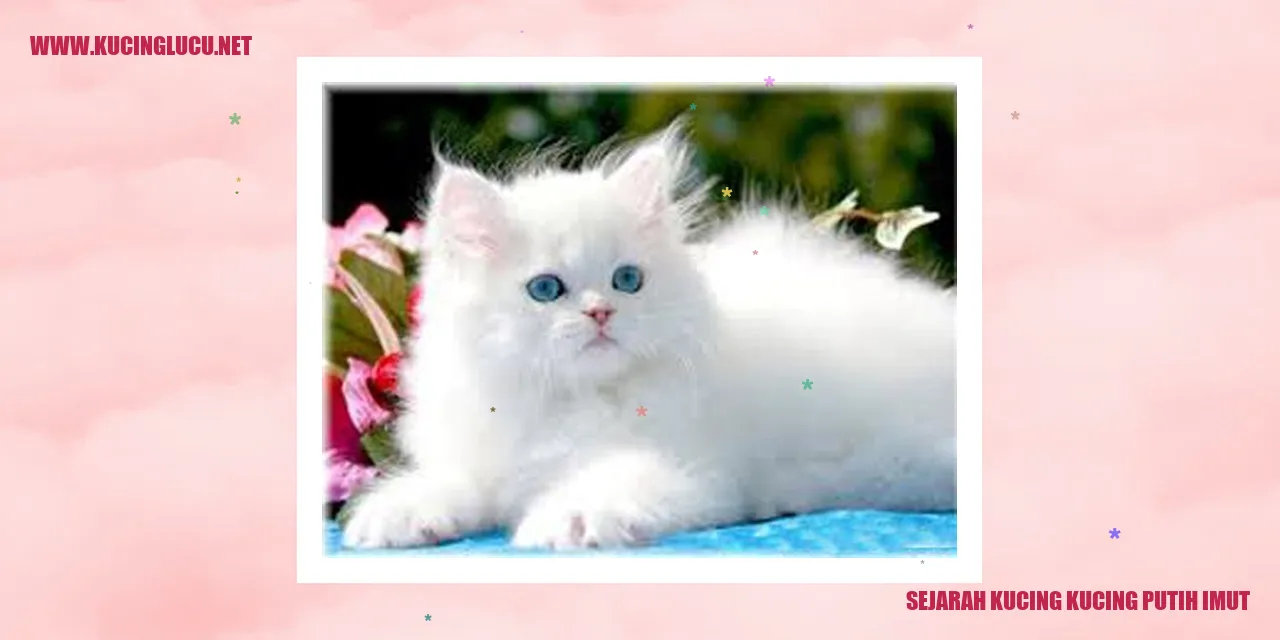 Kucing Putih Imut
