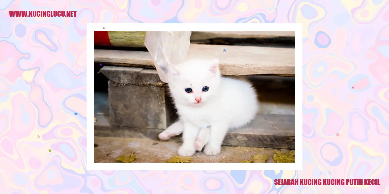 Kucing Putih Menggemaskan