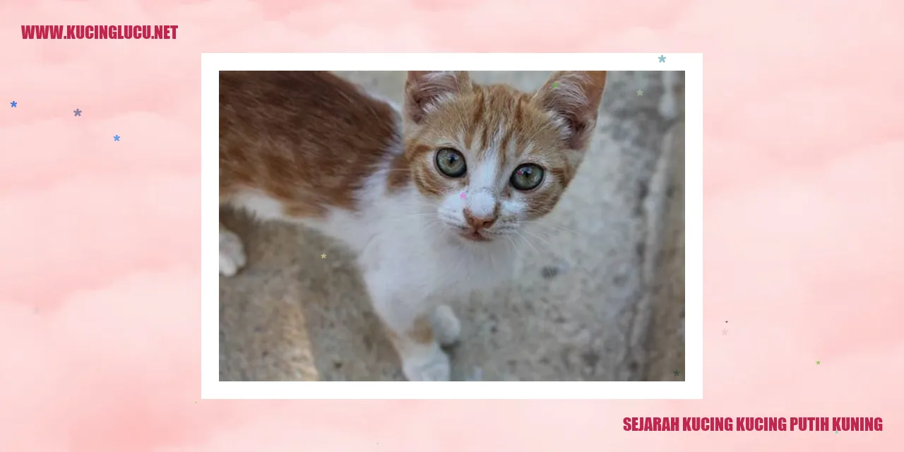 Kucing Putih Kuning