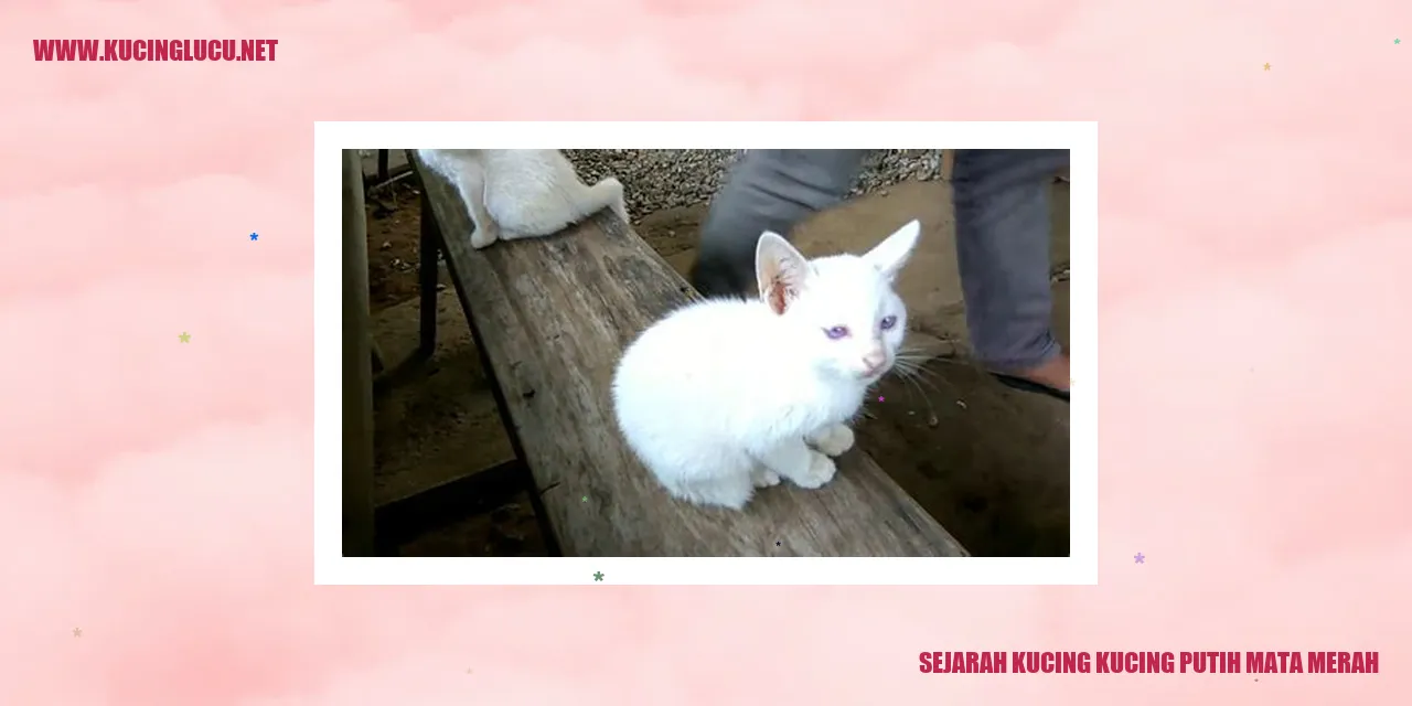 Kucing Putih Mata Merah