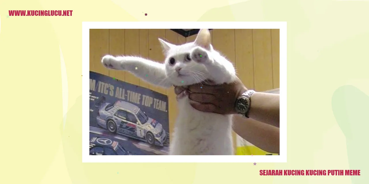 Sejarah Kucing Kucing Putih Meme