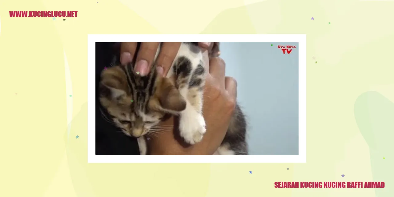 Potret Kucing-kucing Raffi Ahmad