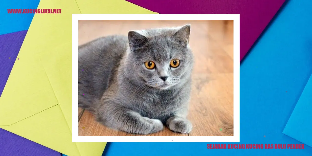 gambar kucing ras bulu pendek