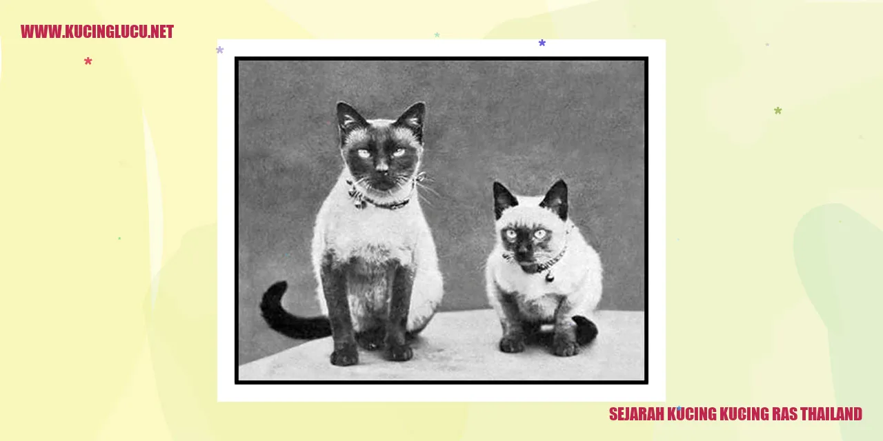Sejarah Kucing kucing ras Thailand