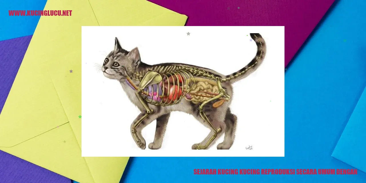 Gambar Kucing