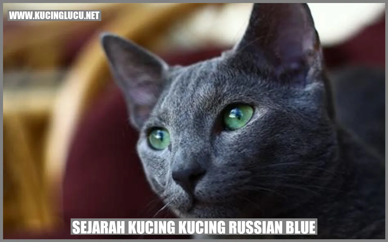 Sejarah Kucing Russian Blue