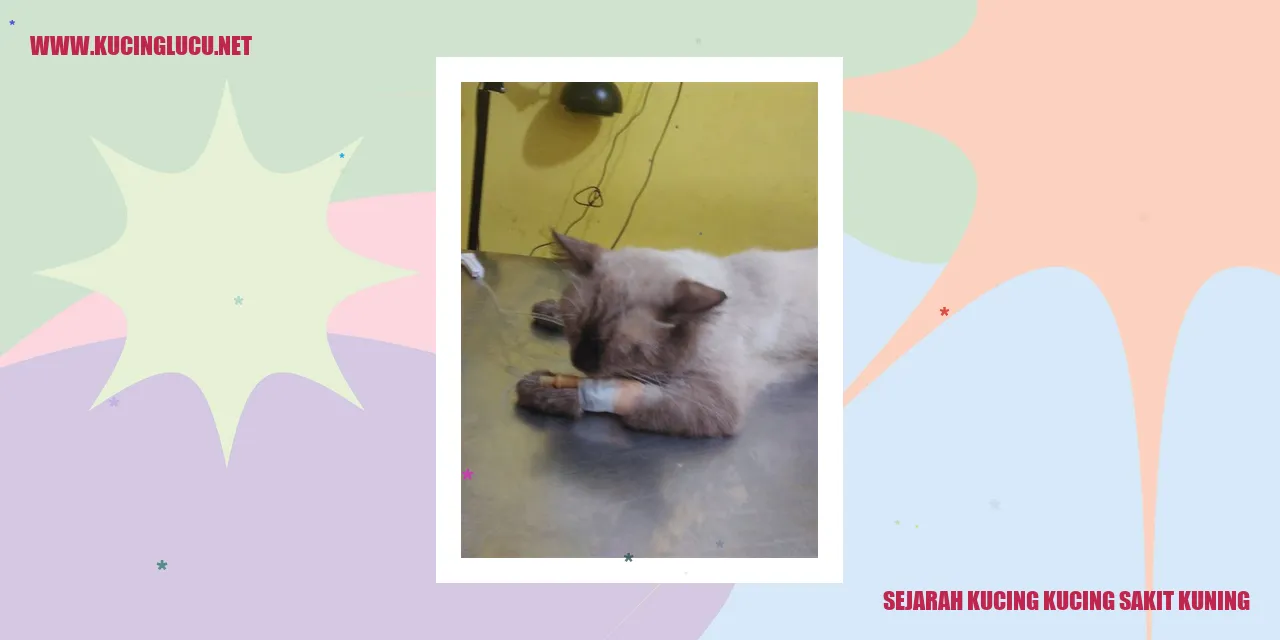 Gambar Kucing Sakit Kuning