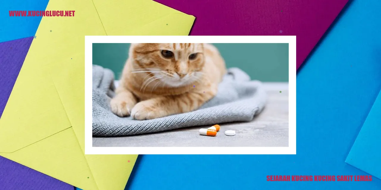 Foto Kucing yang Lemas