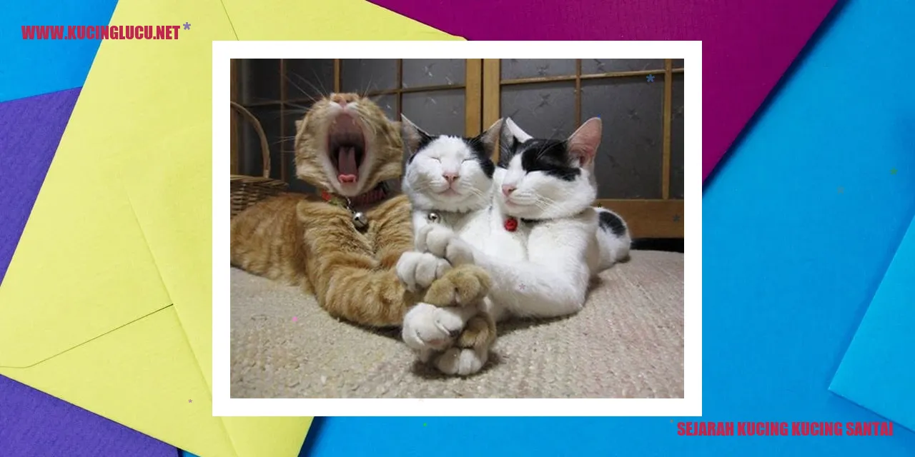 Gambar Kucing Santai