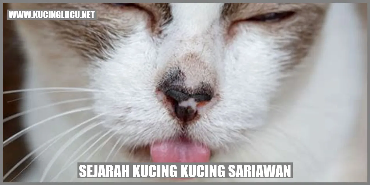 Gambar Kucing Sariawan