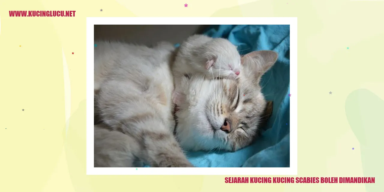 Sejarah Kucing Kucing Scabies Boleh Dimandikan