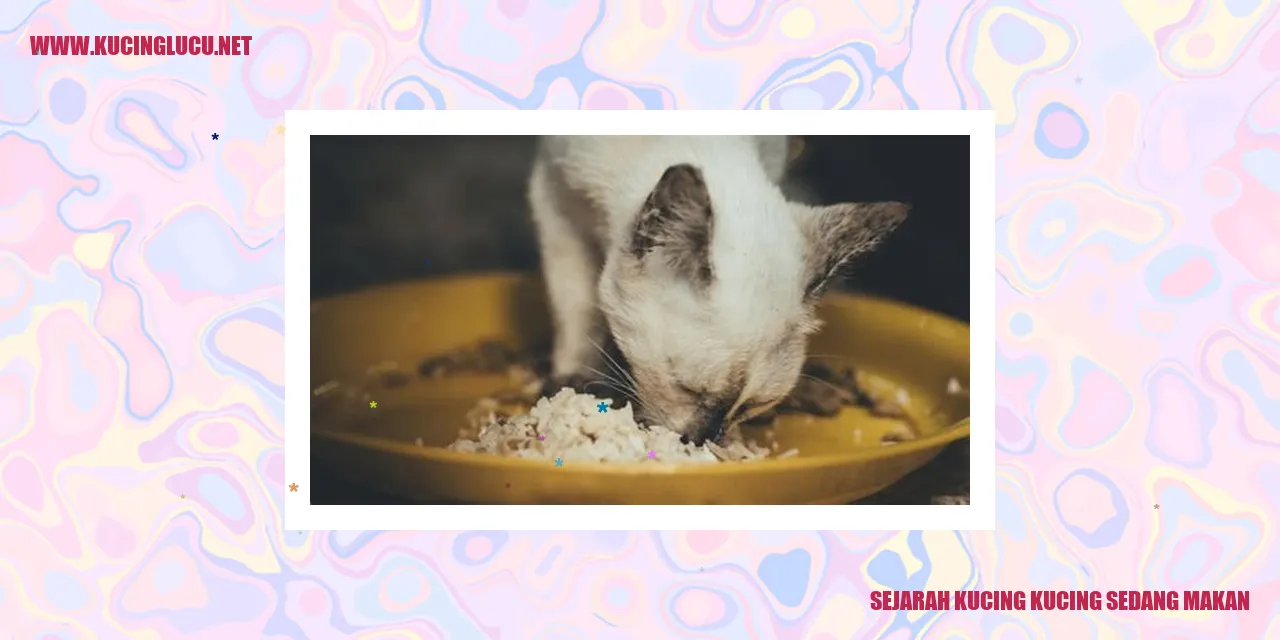 Gambar Kucing yang Sedang Makan