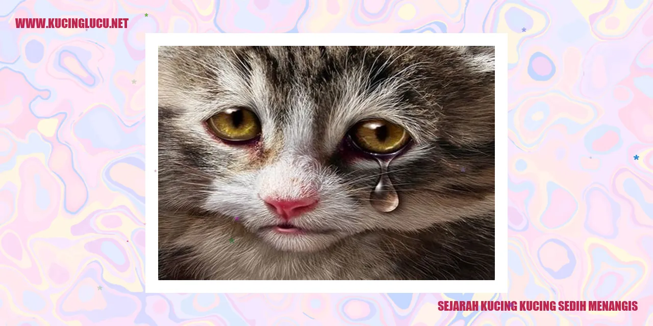 Kucing Yang Sedih Menangis