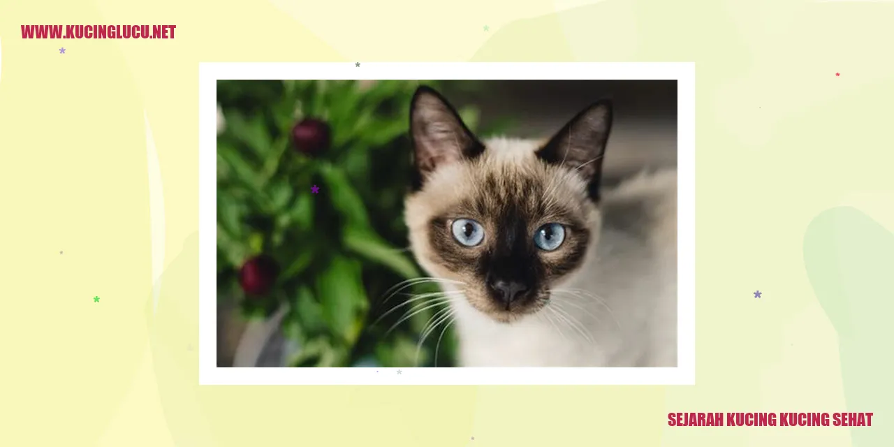 Sejarah Kucing Kucing Sehat