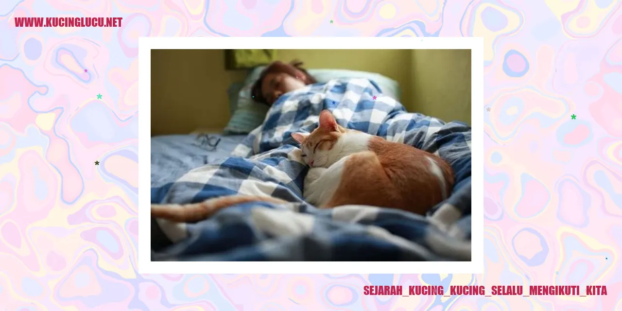gambar kucing yang menggemaskan