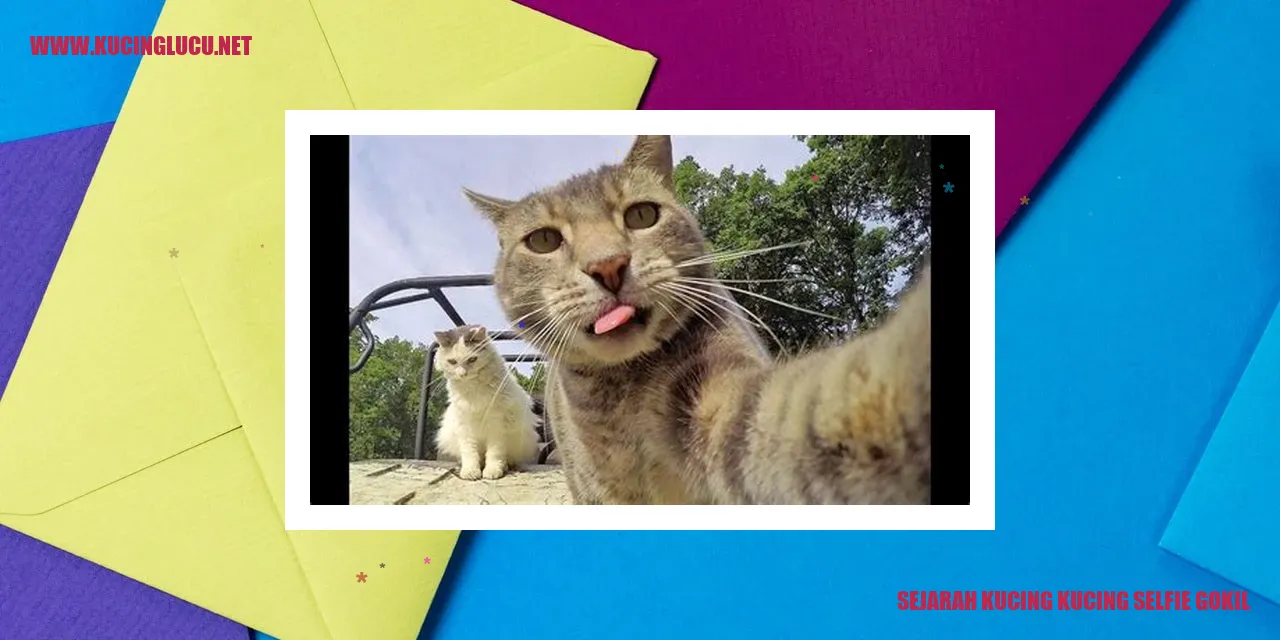 Gambar kucing selfie gokil