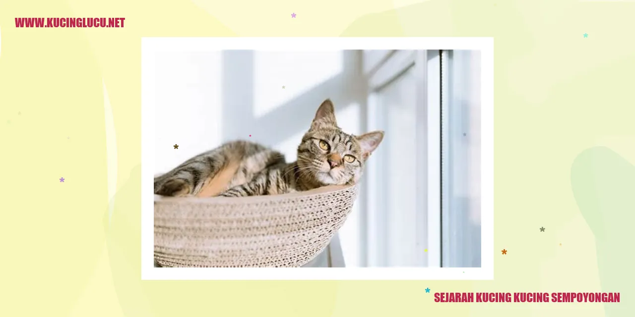 gambar Sejarah Kucing-kucing Sempoyongan