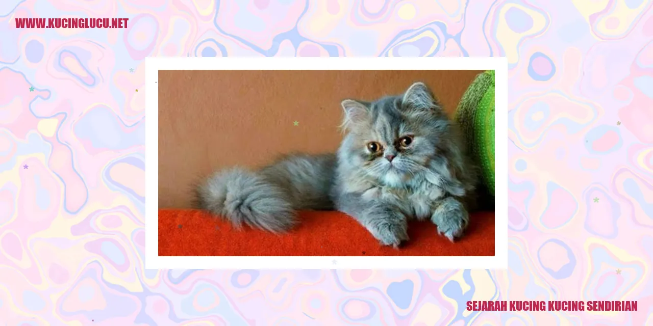 Kucing Sendirian