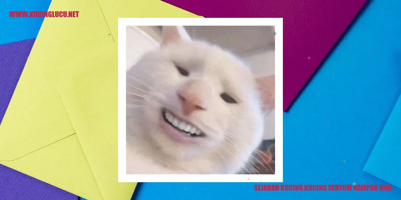 Kucing Kucing Senyum Nampak Gigi