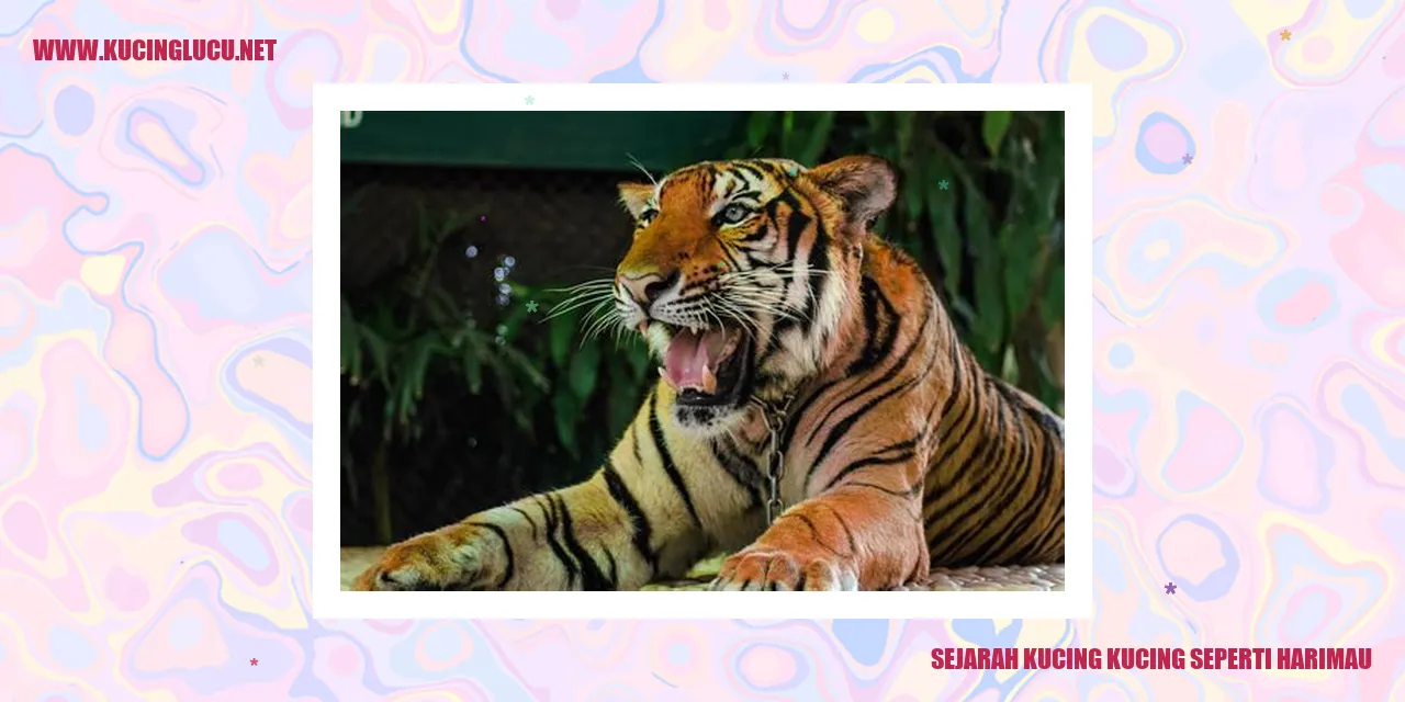 gambar kucing harimau