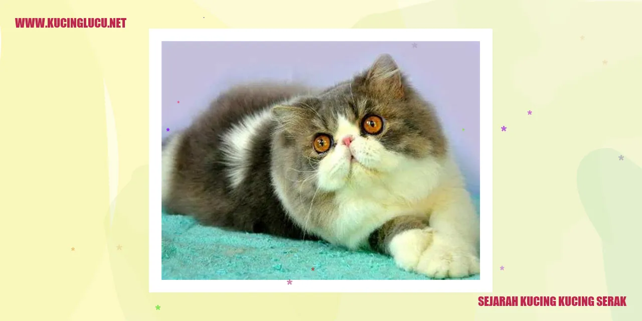 Gambar Sejarah Kucing Kucing Serak