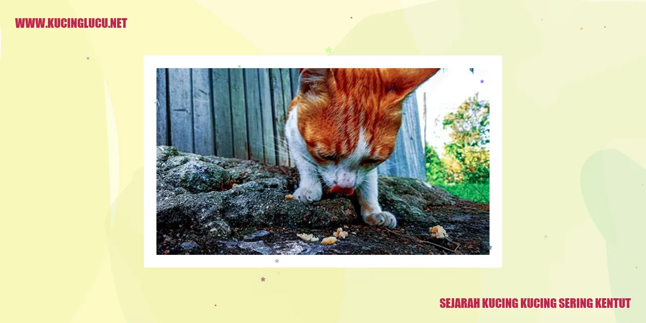 Sejarah Kucing kucing sering kentut