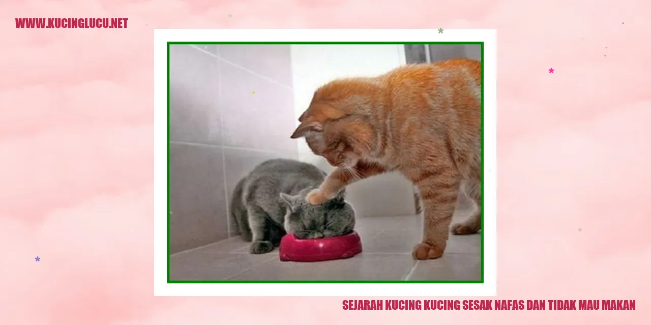 Sejarah Kucing Mengalami Sesak Nafas dan Tidak Mau Makan
