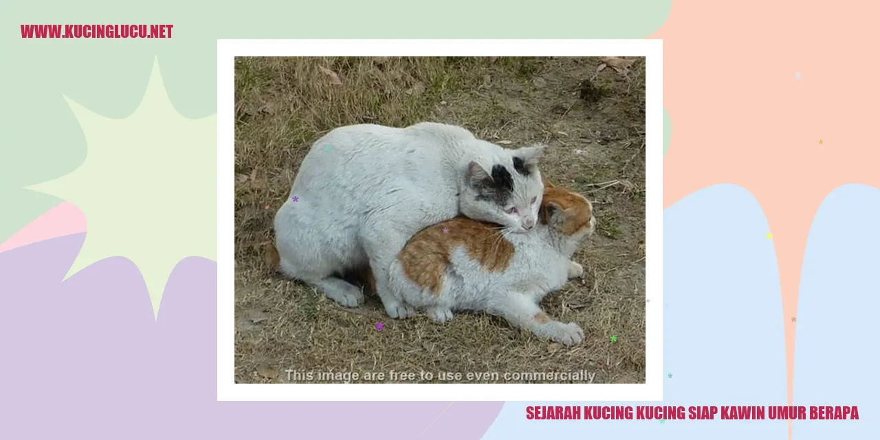 Gambar Sejarah Kucing