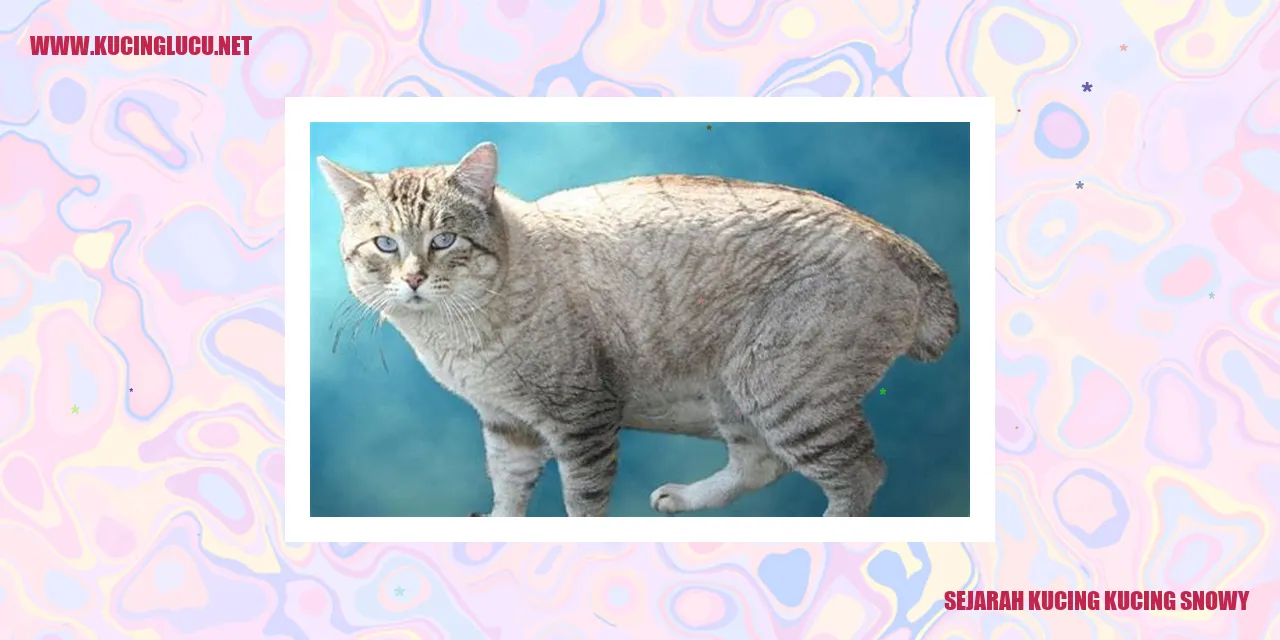 Kucing Snowy