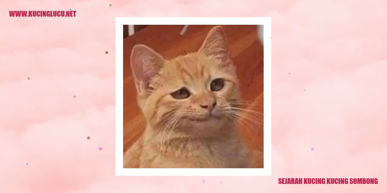 Kucing angkuh
