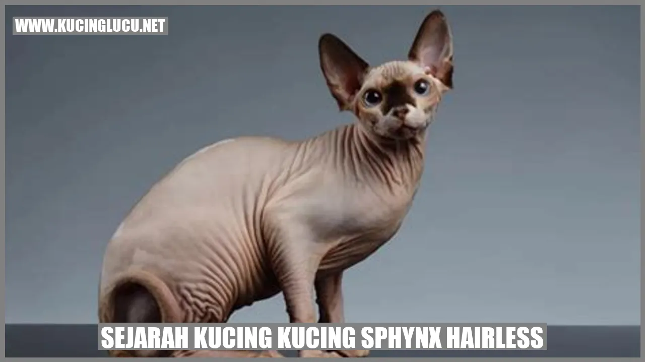 Sejarah Kucing Sphynx Hairless