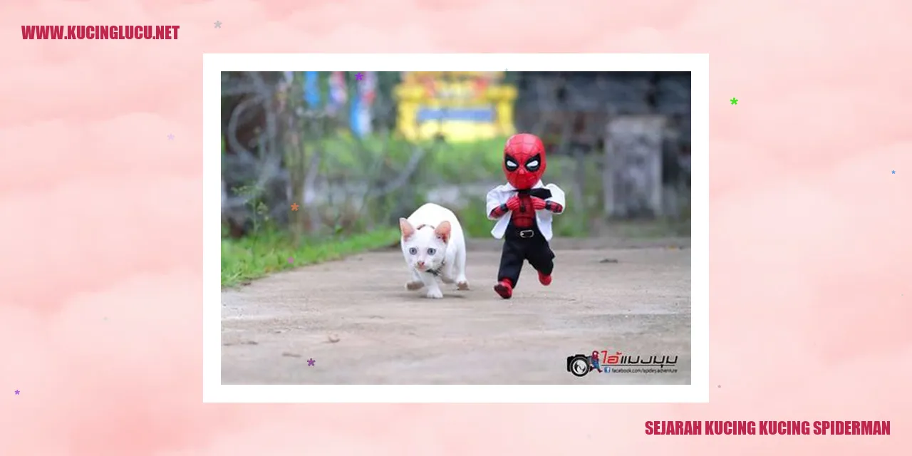 Kucing Spiderman